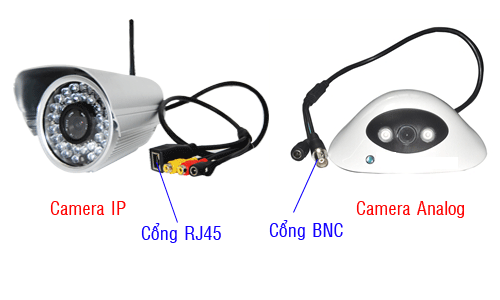 Tìm hiểu về Camera IP và Camera Analog - HDnew Hà Nội
